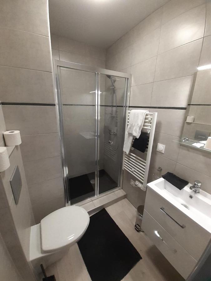 Les Appartements Du Saint Hubert Arcis-sur-Aube Екстериор снимка